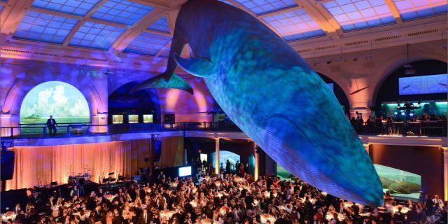 landscape-1448051982-6093-milstein-hall-of-ocean-life-rm